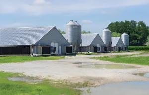 China Anti Corrosion Metal Barn Workshop Prefab Chicken Houses Customization wholesale