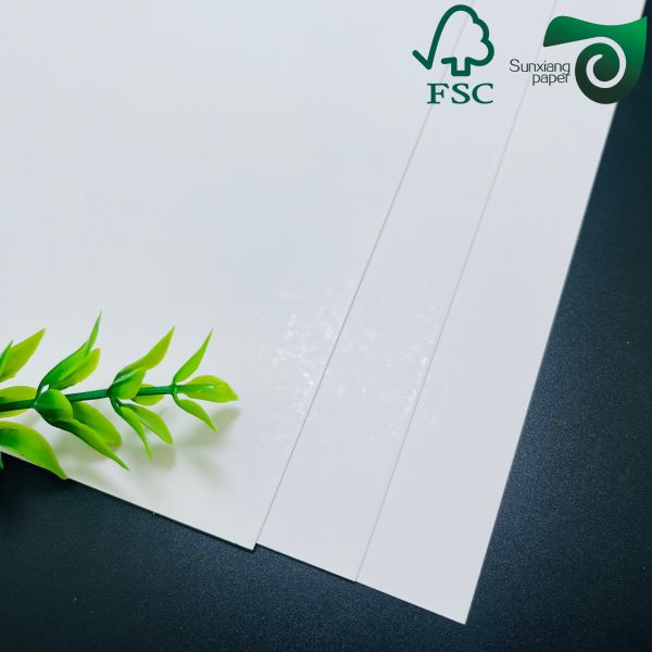 FSC Certified 180gsm Ivory Board White Cardboard In Standard For Solutions And Requirements