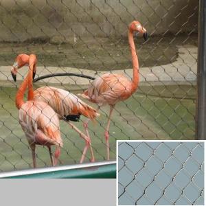 China Inox X-tend Aviary Netting wholesale