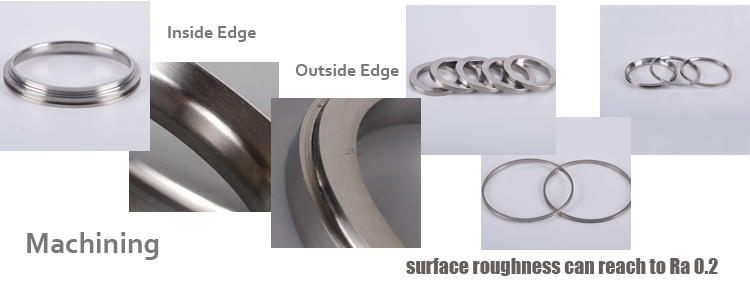 seal ring detail.jpg