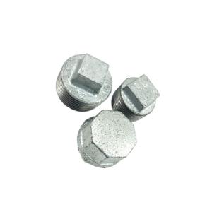 China Casting Male Female Thread Pipe Connector ASME Plumbing Pipe Plug Cap wholesale