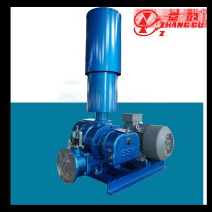 China Industrial Grade 50Hz Cast Iron Roots Vacuum Pump For Air / Gas Evacuation wholesale