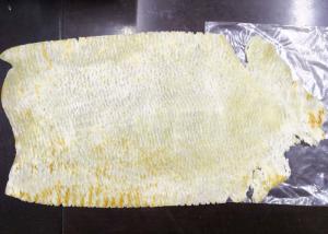 China Organ Seasoned Dried Squid Iron Plate Roasted 24 Months Shelf Time wholesale