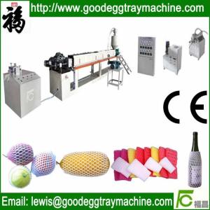 China PE Foam Fruit Net Machine wholesale