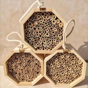 China Wall Hanging Honey Bee Wooden Box 15cm*15cm*9cm Bee Keeping House wholesale