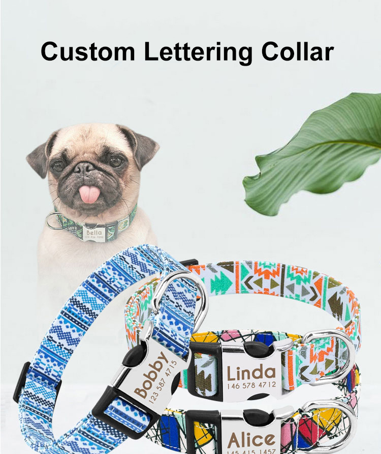No Minimum Order Personalized Pet Collars Beautiful Pattern Sport Dog Collar
