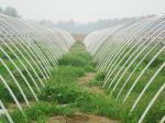 UV-Resistant Anti-Aging FRP Fiberglass Garden Support Stakes High Strength