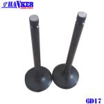 6D17 Intake Valve Exhaust Valve