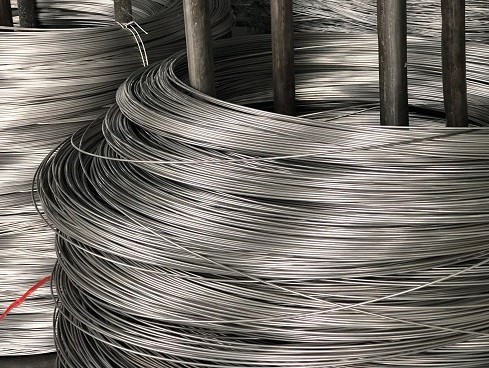 TOPONE Stainless Steel Straight Wire 302 0.25mmx30mm