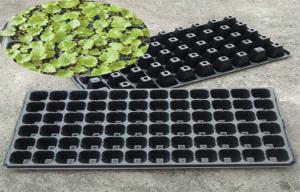 China 21 To 225 Cells Plastic Seed Starting Trays Plant Growing Rice Tray wholesale