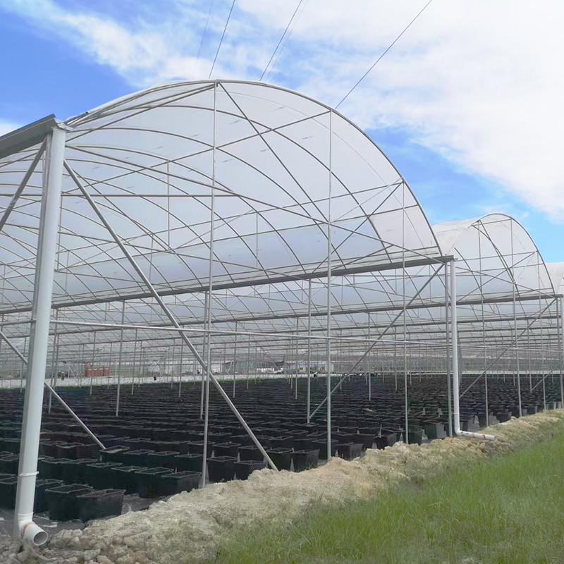 Outdoor Farming Multi-span Agricultural Vegetable Berry Film Poly Tunnel Greenhouse