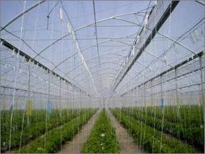 China Simple Structure Commercial Hydroponic Greenhouse Gutter Height 2-6m CE Approved wholesale