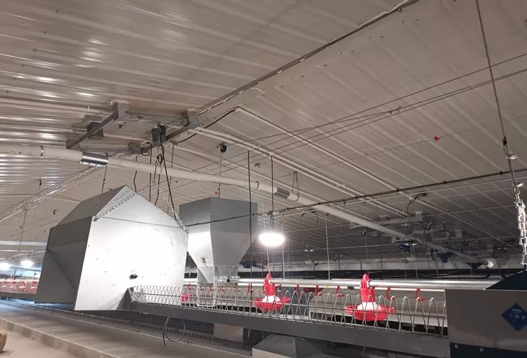 Farming Equipment Poultry Pan Feeding System Automatic Breeder Parent Chicken Drinking