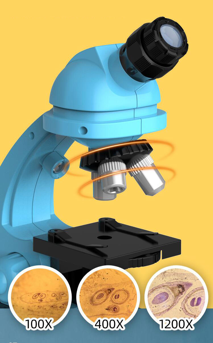 Student Science Experiment Essential Mobile Phone Stand for Biological Microscope