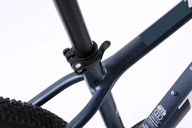 OEM MTB Spoked Wheel Aluminium Alloy Mountainbike Simulated Carbon Fiber Frame 29 Inch Bicycle Suitable for Man Cycling