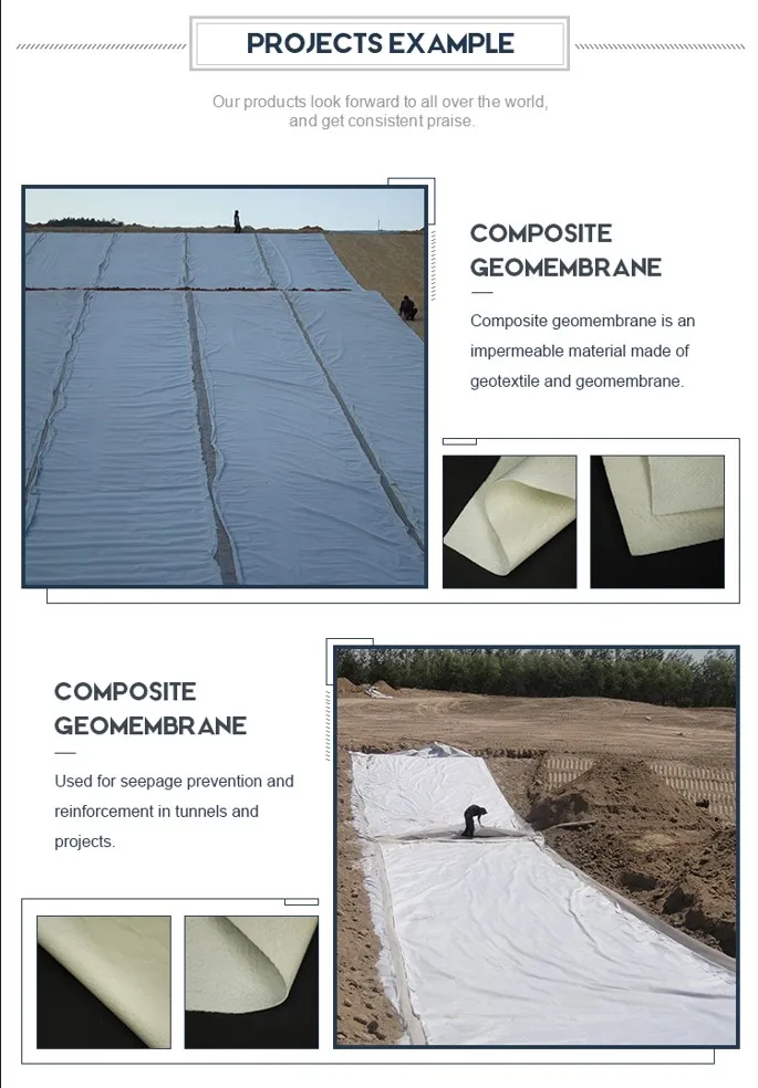 Two Layers and One Film Reservoir Seepage Control Composite Geomembrane in Landfill Tailings Treatment