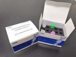 China Lateral Flow Immunoassay COVID-19 Rapid Antigen Test Cassette wholesale