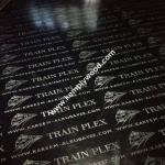 Two times hot pressed film faced plywood, Marine shuttering film faced plywood,