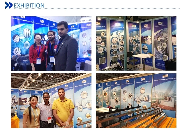MW High Quality Professional Manufacture CNC Galvanized Rack and Pinion Gear for Drive Train System