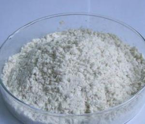 China 100% Natural Diosgenine Wild Yam Herb Extract Diosgenine powder wholesale