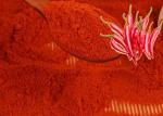 Red Color Dried Chili Powder Natural Food Seasoning Non Irradiated Sterilizing