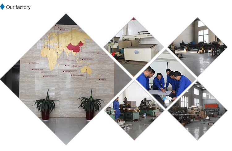 1000bph Automatic Chicken Slaughtering Equipment For Poultry Slaughterhouse