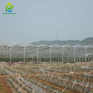 China OEM Flowers Polycarbonate Sheet Greenhouse Transparent Tropical Fruit Greenhouse wholesale
