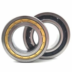 China Pump Use F-1600 32844 NU3044X3M Steel Cylindrical Roller Bearing wholesale
