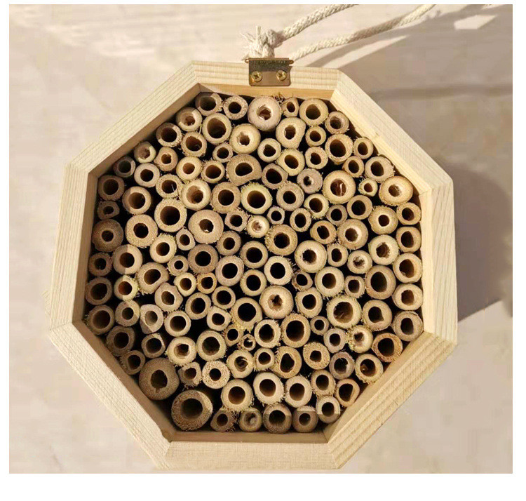 Wall Hanging Honey Bee Wooden Box 15cm*15cm*9cm Bee Keeping House