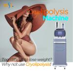 360 Cryolipolysis Slimming Machine 3000W Vacuum Cavitation Machine With 4