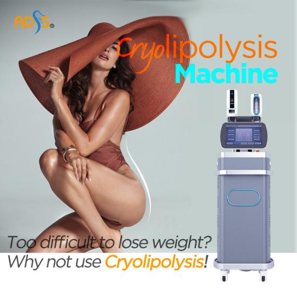360 Cryolipolysis Slimming Machine 3000W Vacuum Cavitation Machine With 4