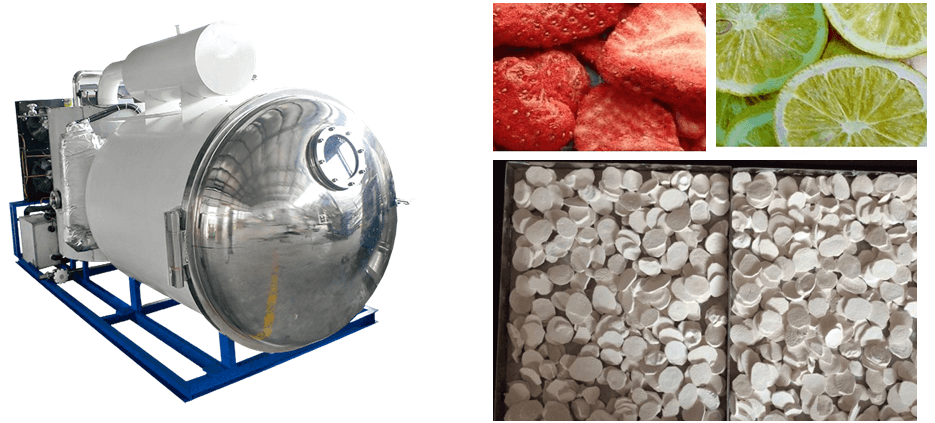 GMP Industrial Lyophilizer Pharmaceutical Toption Freeze Drying Pharmaceuticals