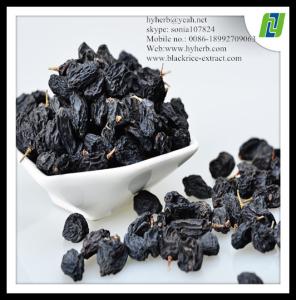 China Powder Formed Natural Organic Black Currant Extract wholesale