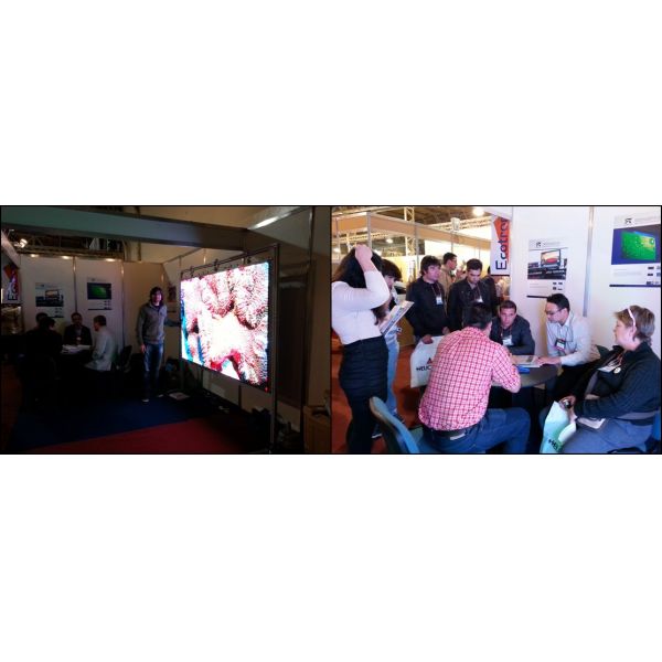 Waterproof P8 SMD Outdoor Fixed LED Display 256*128 Mm Module Size 1/4 Scanni