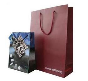 China Euro Paper Shopping Carrier Bags wholesale