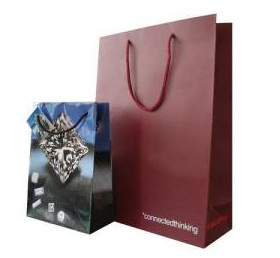 New products 2016 cosmetic boutique paper shopping bag