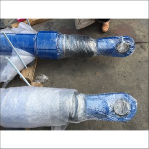 Rexroth CDH1MP5 200 125 3000A1XM1CSDMWY Hydraulic Cylinder With Single-Rod