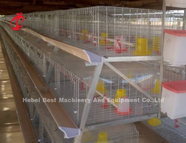 High Resilience H Type Broiler Cage Hot Galvanized Low Carbon Steel Adela