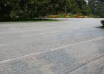 Spunbond PP Polypropylene Agricultural Crop Cover Extra Wide Nonwoven Fabric