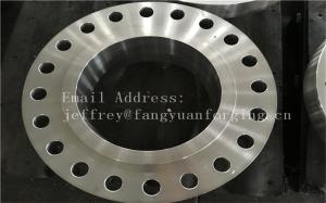 China Customized Stainless Steel Forged Flanges F316L F304L F51 F53 F60 wholesale