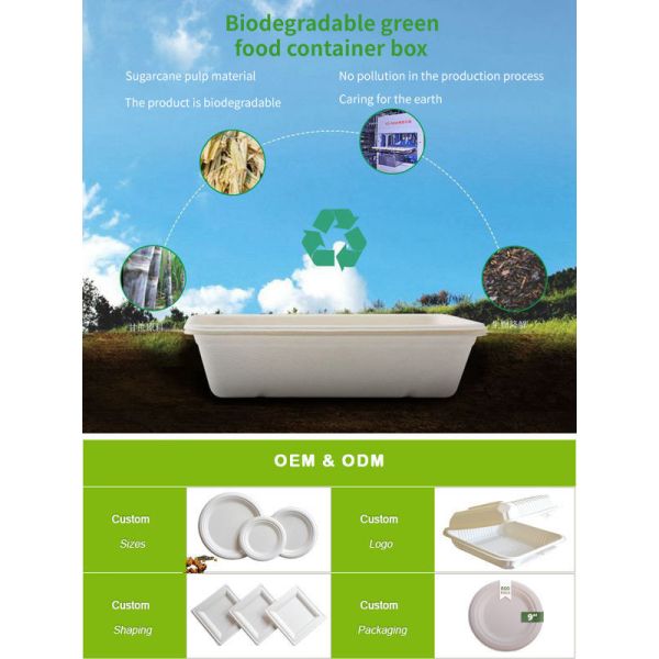 OEM Disposable Food Packaging Containers FSC Sugarcane Disposable Bowl Plates
