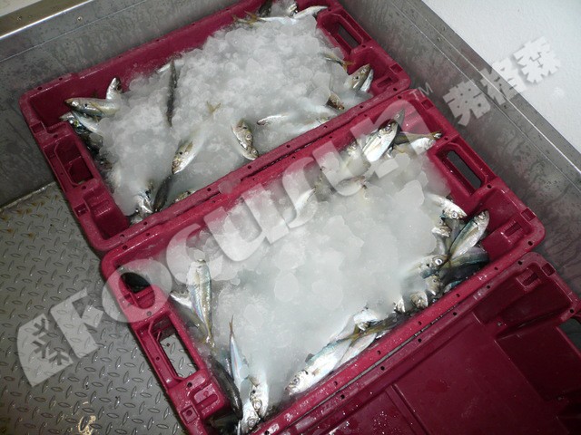 Emerson Marine Slurry Ice Machine for Fish 380V/3P/50HZ Power Supply