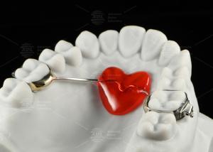 China Stainless Steel Orthodontic Nance Appliance Horseshoe Design Orthodontic Appliances wholesale