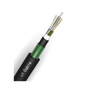 China GYTA53 Armored Loose Tube Fiber Cable LSZH Underground Armored wholesale