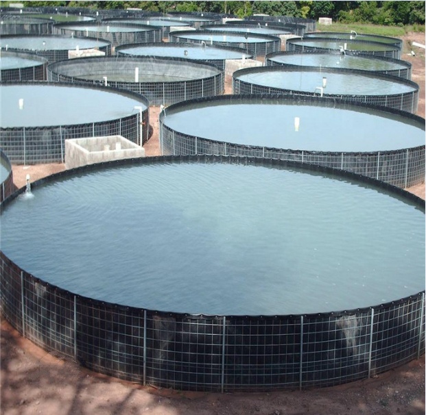 2m-8m Width HDPE Dam Liners 1mm Geomembrane Liner for Aquaculture Fish Farm Sale