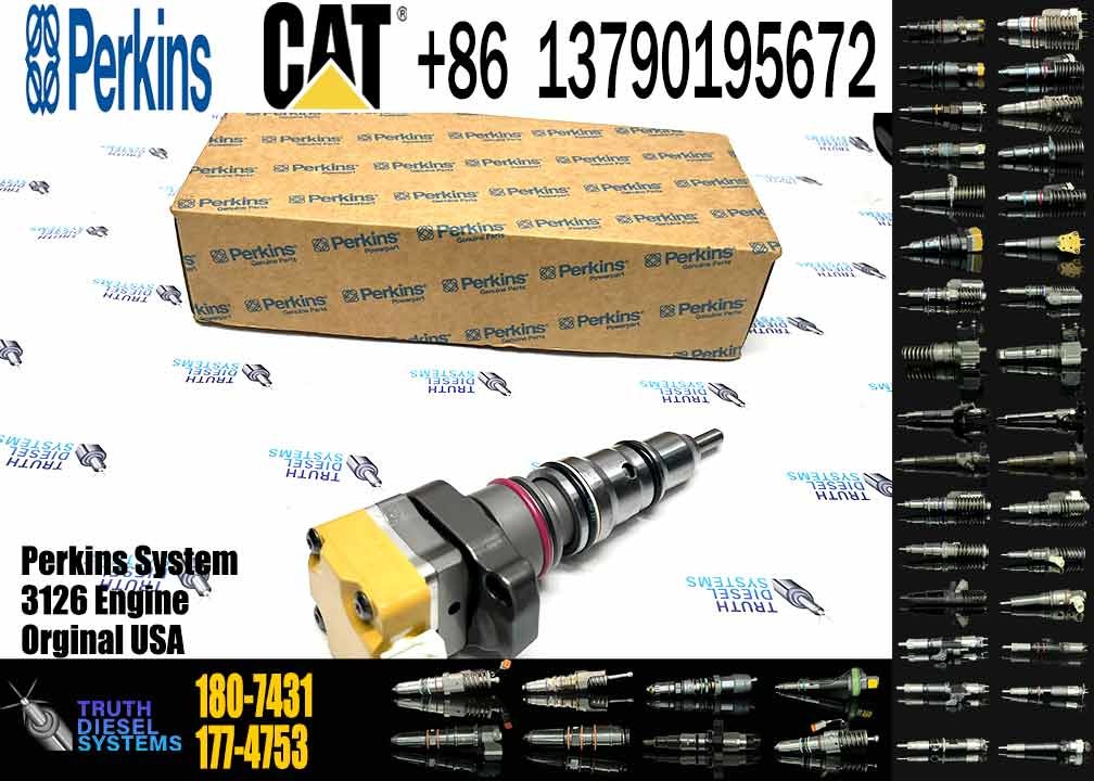 Common rail injector fuel injector 180-7431 198-6605 171-9710 218-4109 for 3216 Excavator 3126E 3126B