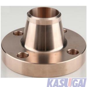 China Weld Neck Copper Nickel Flanges C71500 ANSI Sch10S Industrial Pipe Fittings wholesale