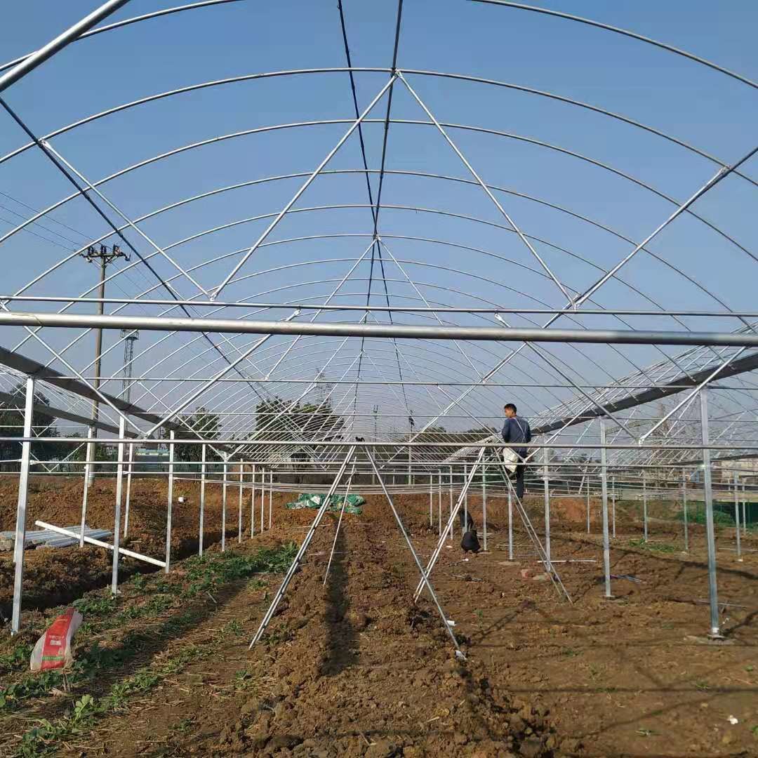 Multi Span Polyethylene Film Greenhouse Large Scale Wide Application