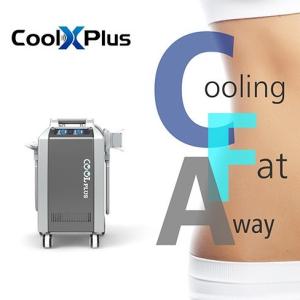 China Fat Freezing Cryolipolysis Cryo Machine Wich Double 360 Degree Handles wholesale