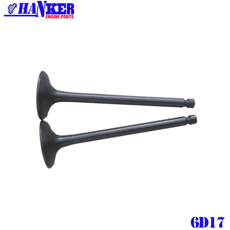 6D17 Intake Valve Exhaust Valve